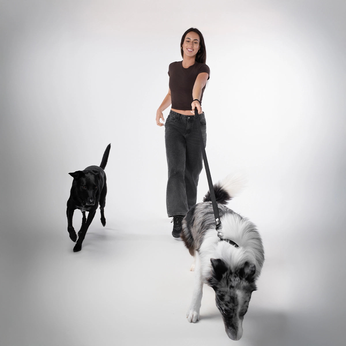 Brooklyn® Featherlight Dog Collar