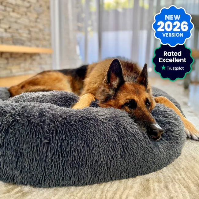 Ultimate Dog Starter Bundle Pack