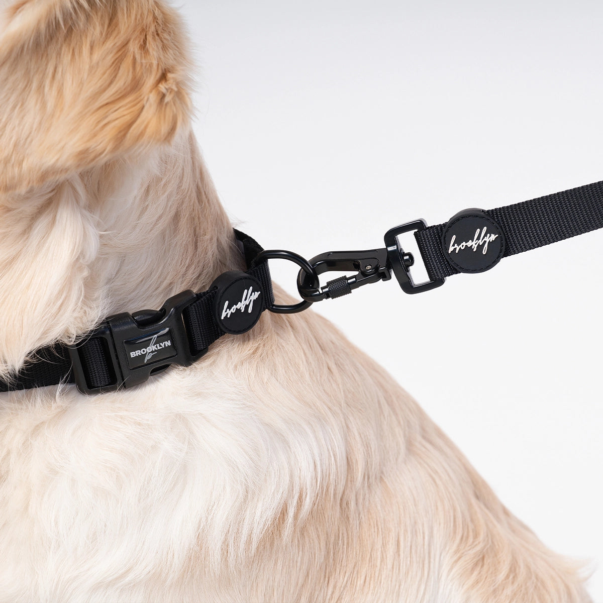Brooklyn® Featherlight Dog Collar