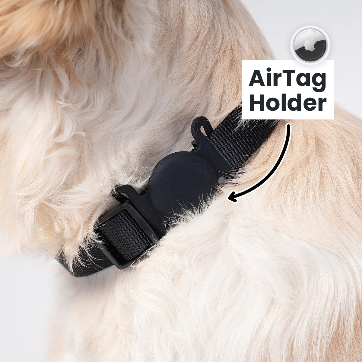 Brooklyn® Featherlight Dog Collar