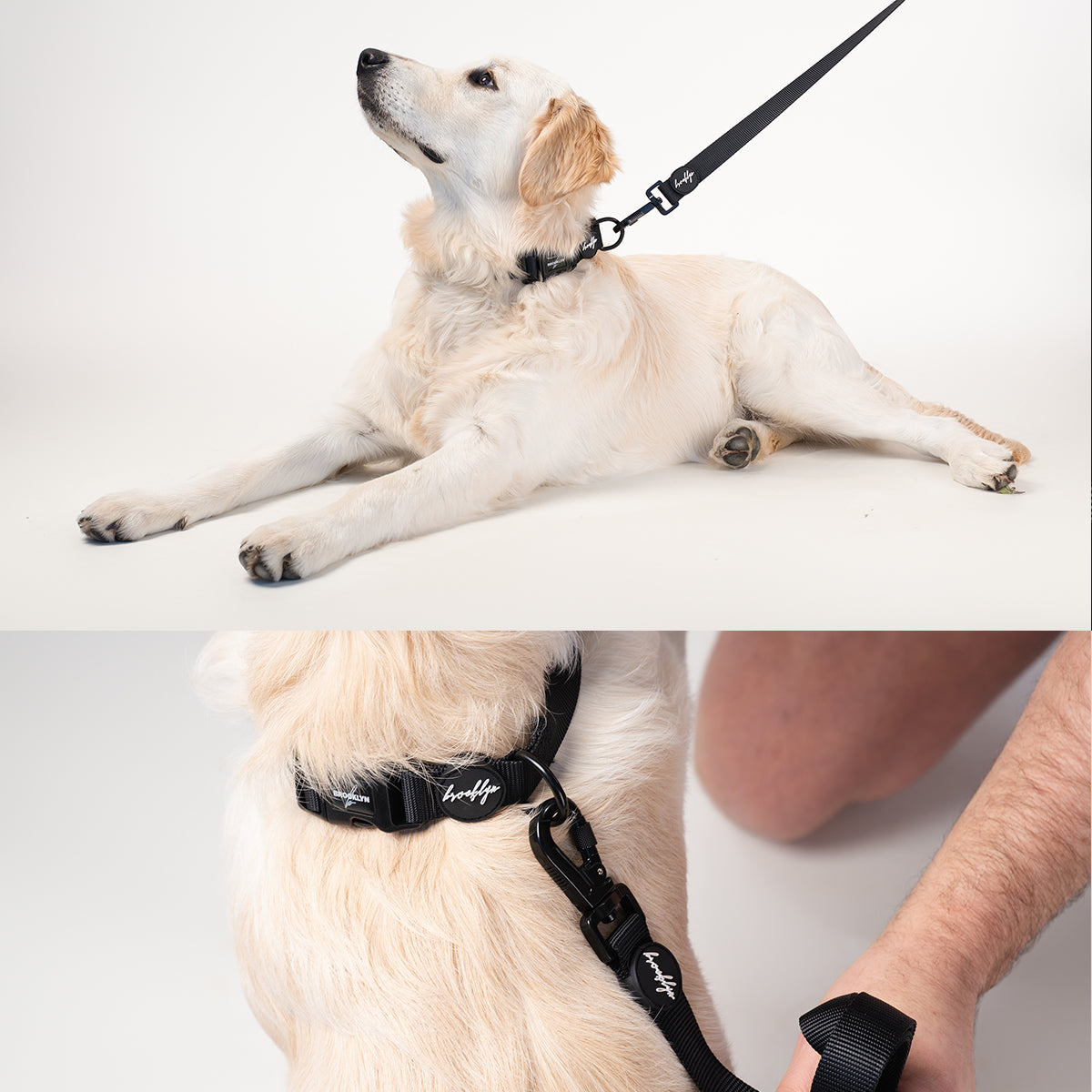 Brooklyn® Featherlight Dog Leash