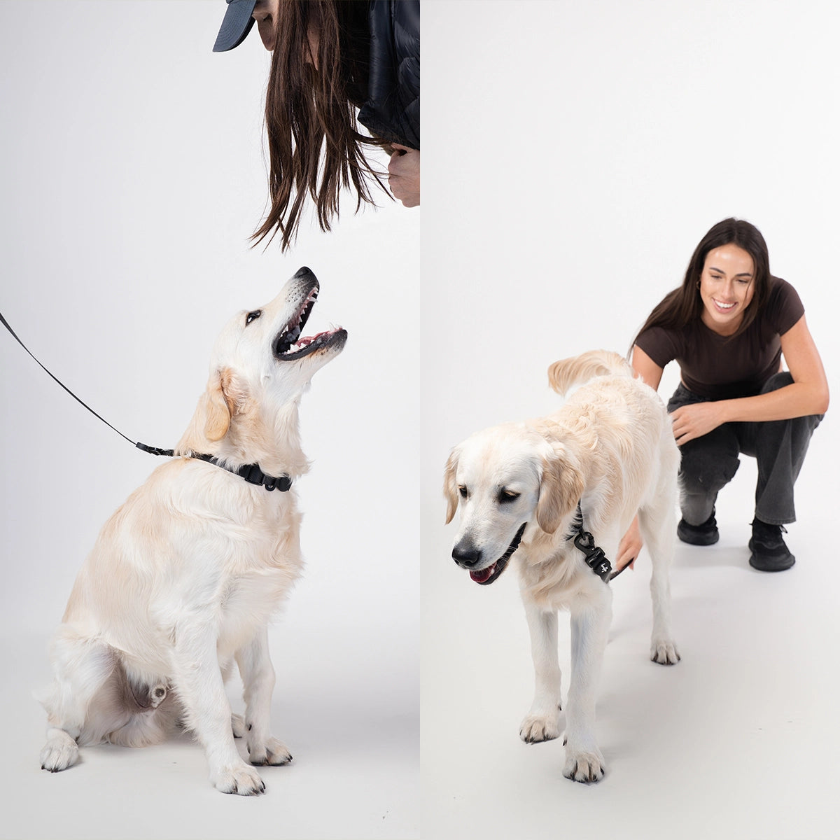 Brooklyn® Featherlight Dog Collar