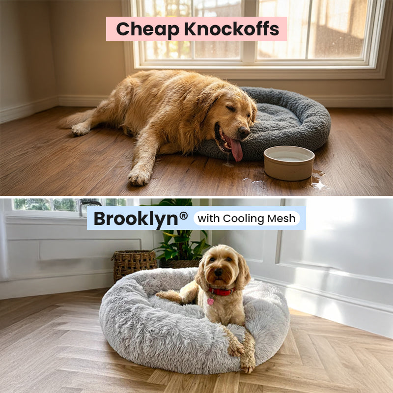 2x Calming Dog Beds + 2x Covers (Save 20%)