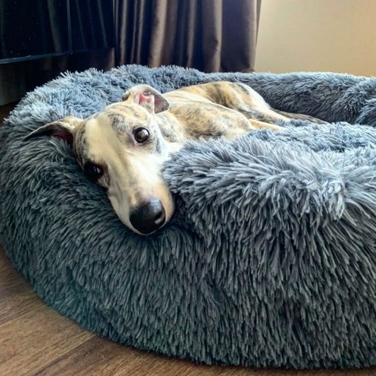 Brooklyn® Deep Sleep Pet Bed