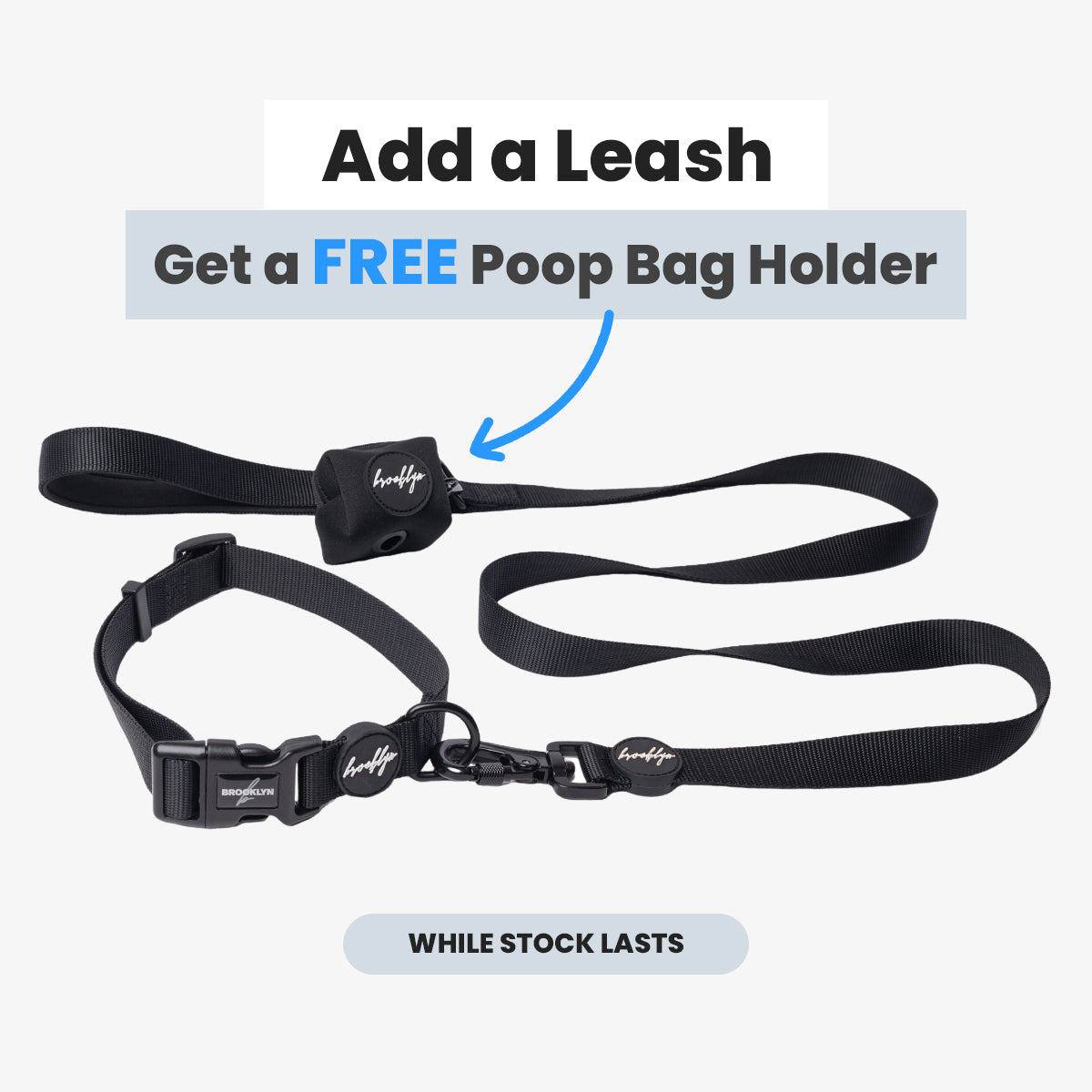 Brooklyn® Featherlight Dog Collar