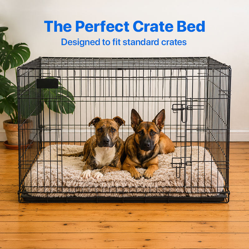 Brooklyn® Memory Foam Bed