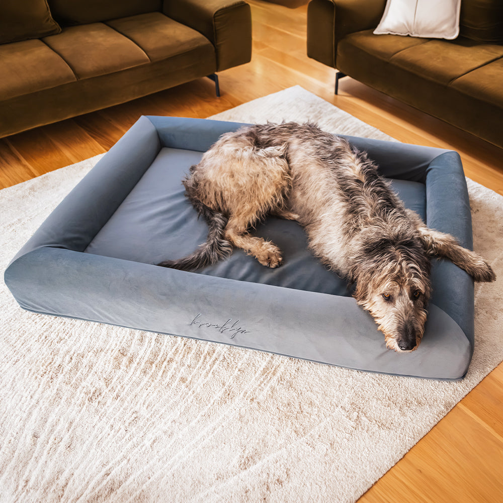 Irish Wolfhound resting its head on the bolster of the Chalk Grey Ortho Pro orthopaedic dog bed