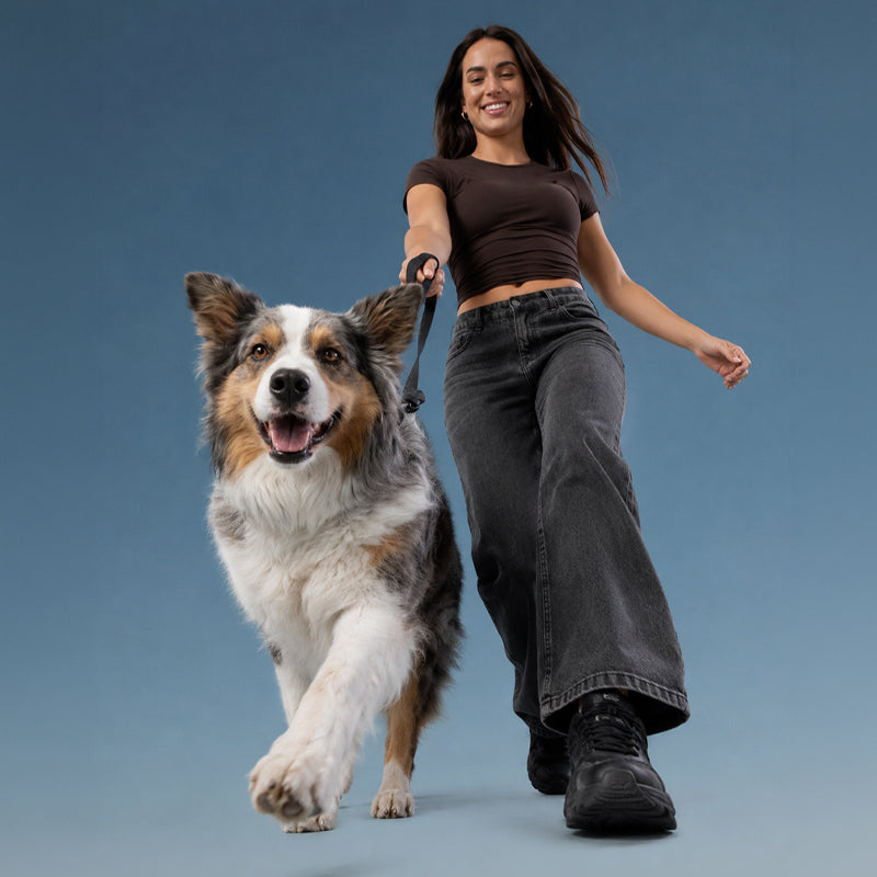 Brooklyn® Walk Set Bundle