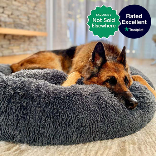 Brooklyn® Deep Sleep Pet Bed