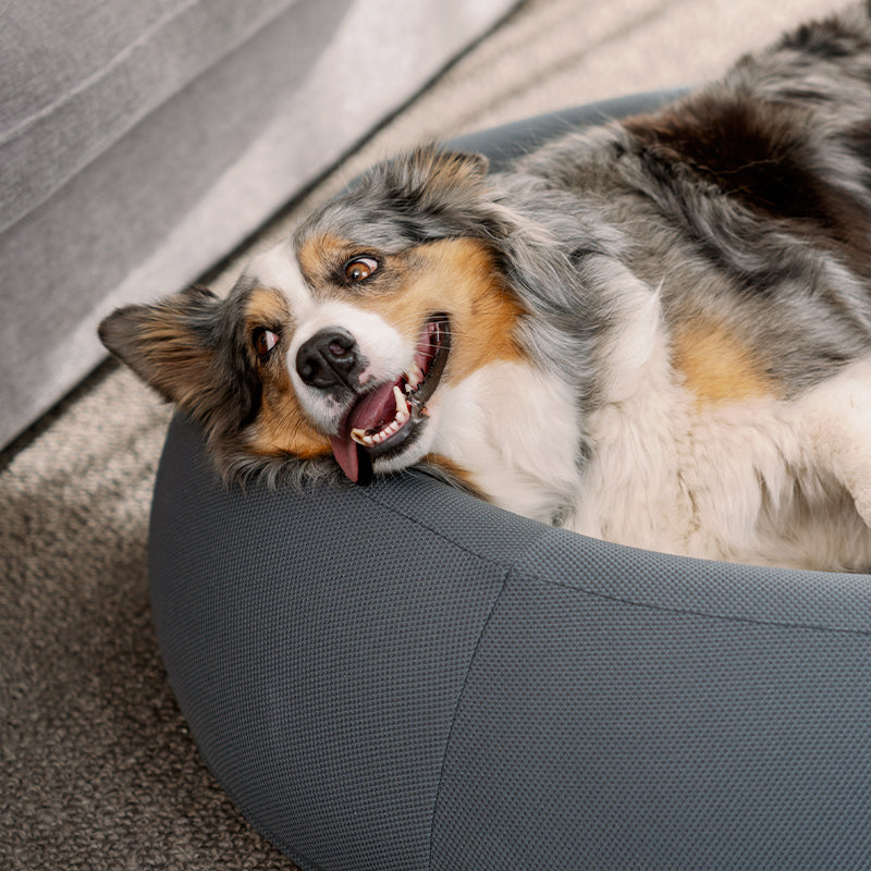 Brooklyn® Nest Dog Bed