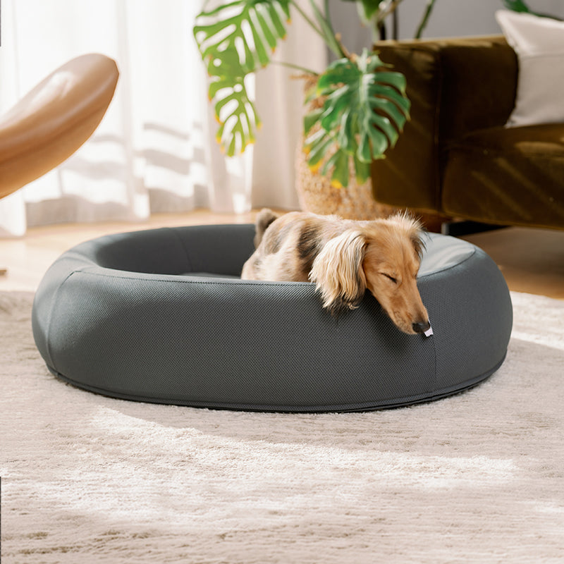 Brooklyn® Nest Dog Bed