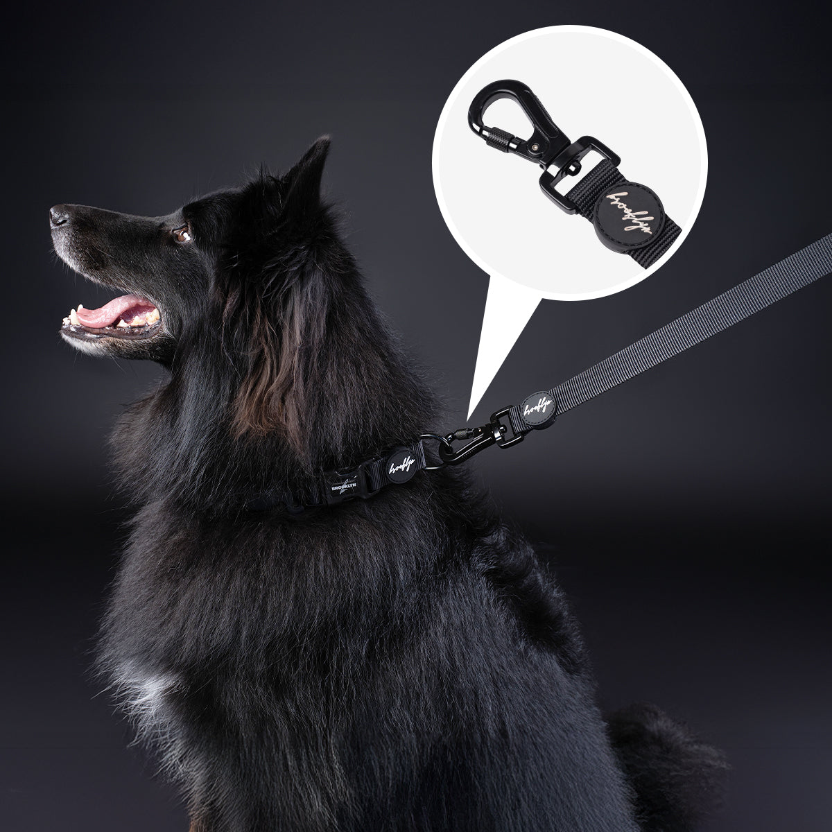 Brooklyn® Featherlight Dog Collar