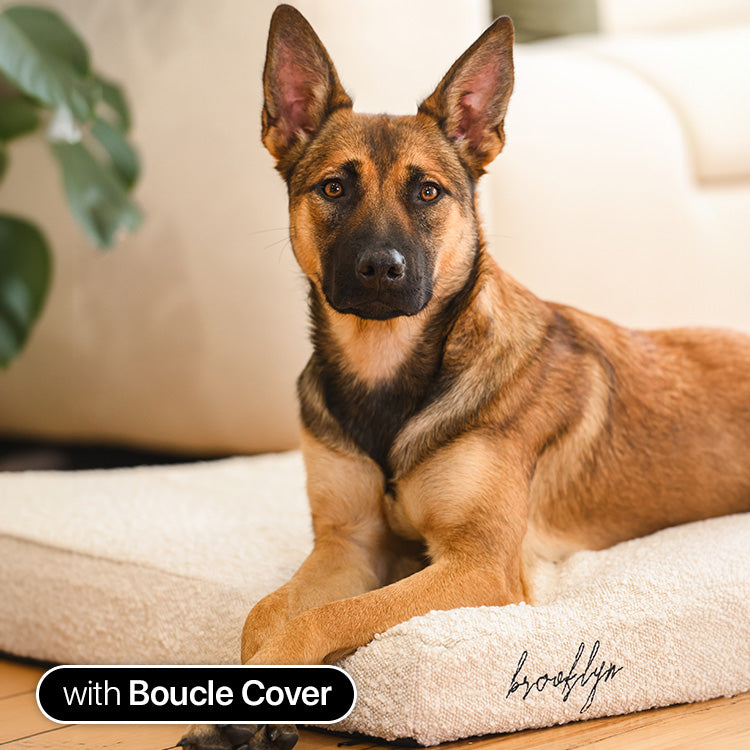 Brooklyn® Memory Foam Bed