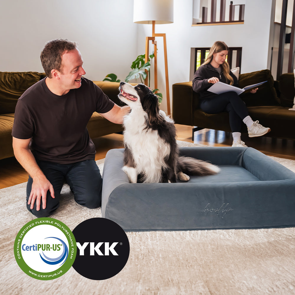 Man patting a Border Collie sitting on the Chalk Grey Ortho Pro dog bed, with CertiPUR-US certified foam and YKK zip badges
